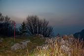 12_Castel Regina